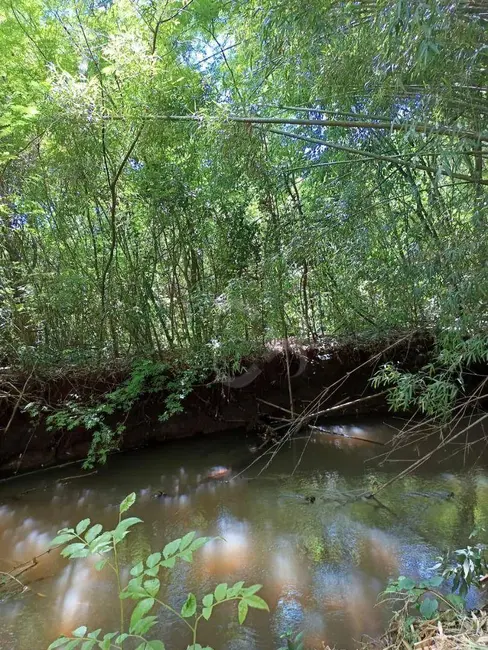 Foto 13 de Chácara à venda, 3088m2 em Esperança, Londrina - PR