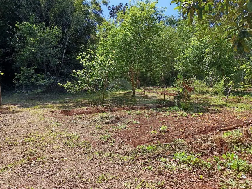 Foto 12 de Chácara à venda, 3088m2 em Esperança, Londrina - PR