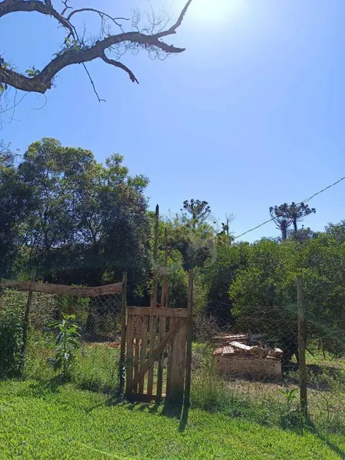 Chácara à venda, 3088m2 em Esperança, Londrina - PR - imagem 6 Foto 6 de Chácara à venda, 3088m2 em Esperança, Londrina - PR