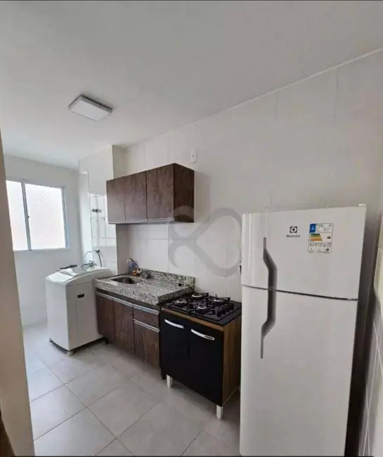 Foto 6 de Apartamento com 2 quartos para alugar, 46m2 em Gleba Fazenda Palhano, Londrina - PR