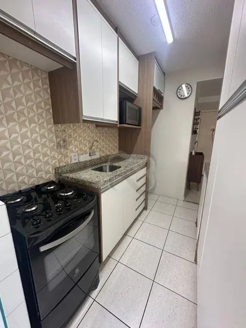 Foto 9 de Apartamento com 3 quartos à venda e para alugar, 66m2 em Aurora, Londrina - PR