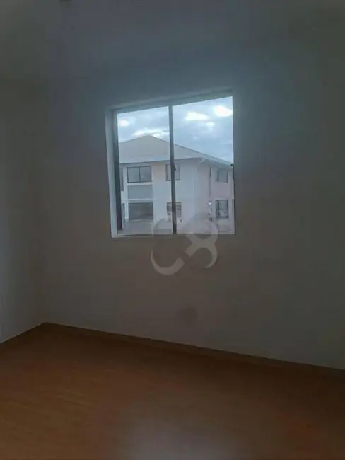 Apartamento com 2 quartos à venda, 49m2 em Londrina - PR - imagem 8 Foto 8 de Apartamento com 2 quartos à venda, 49m2 em Londrina - PR
