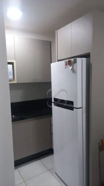 Apartamento com 2 quartos para alugar, 48m2 em Londrina - PR - imagem 5 Foto 5 de Apartamento com 2 quartos para alugar, 48m2 em Londrina - PR