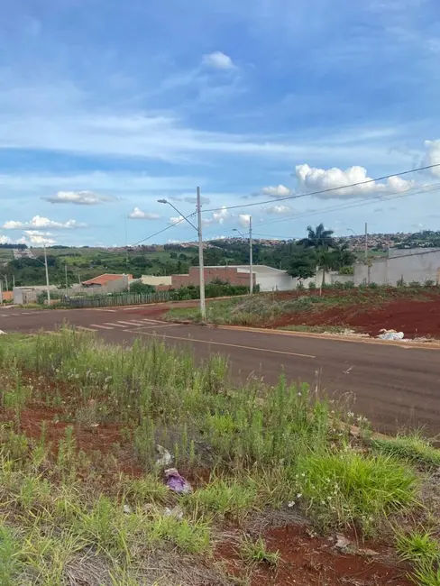 Terreno / Lote à venda, 250m2 em Cambe - PR - imagem 4 Foto 4 de Terreno / Lote à venda, 250m2 em Cambe - PR