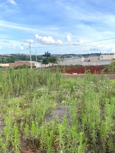 Terreno / Lote à venda, 250m2 em Cambe - PR - imagem 3 Foto 3 de Terreno / Lote à venda, 250m2 em Cambe - PR