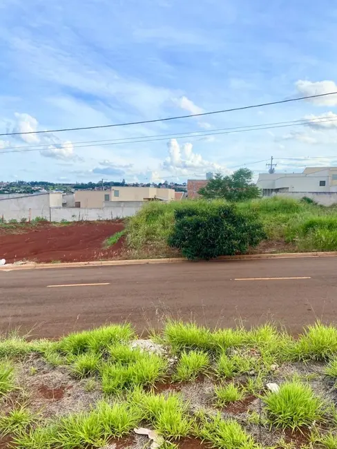Terreno / Lote à venda, 250m2 em Cambe - PR - imagem 5 Foto 5 de Terreno / Lote à venda, 250m2 em Cambe - PR