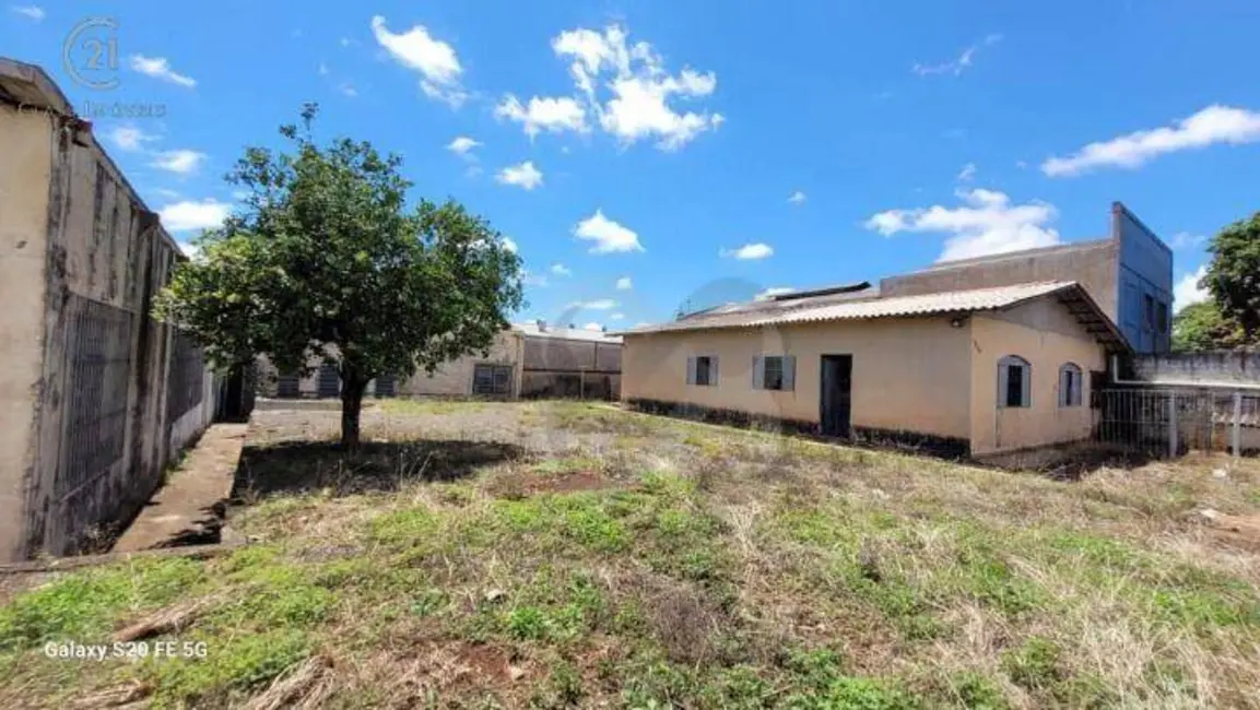Foto 4 de Armazém / Galpão à venda, 1152m2 em Waldemar Hauer, Londrina - PR