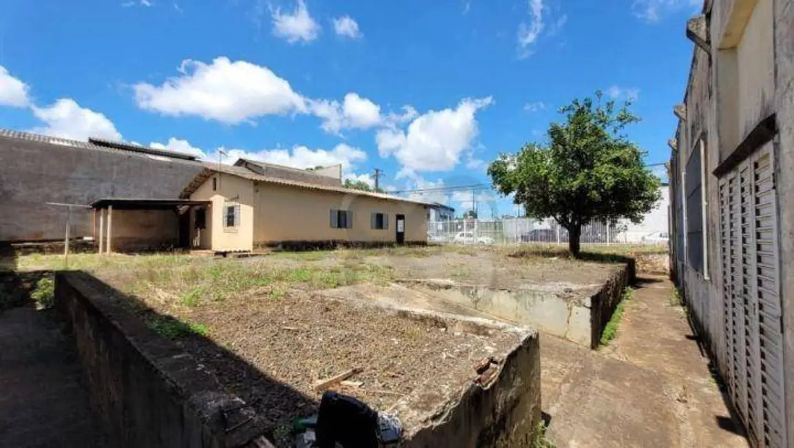 Foto 6 de Armazém / Galpão à venda, 1152m2 em Waldemar Hauer, Londrina - PR