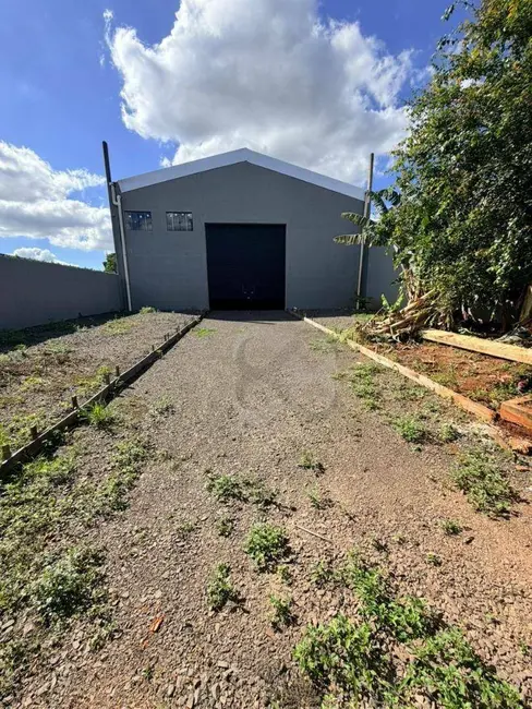 Foto 2 de Armazém / Galpão à venda e para alugar, 1031m2 em Bandeirantes, Londrina - PR