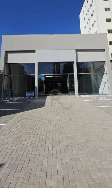 Armazém / Galpão à venda e para alugar, 800m2 em Vila Ipiranga, Londrina - PR - imagem 3 Foto 3 de Armazém / Galpão à venda e para alugar, 800m2 em Vila Ipiranga, Londrina - PR
