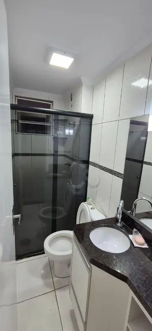 Apartamento com 3 quartos para alugar, 79m2 em Parque Jamaica, Londrina - PR - imagem 7 Foto 7 de Apartamento com 3 quartos para alugar, 79m2 em Parque Jamaica, Londrina - PR