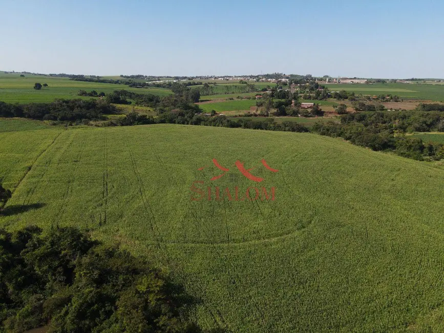 Foto 4 de Chácara à venda, 118580m2 em Doutor Camargo - PR