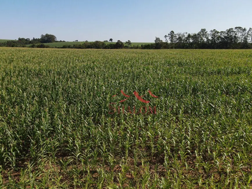 Foto 6 de Chácara à venda, 118580m2 em Doutor Camargo - PR
