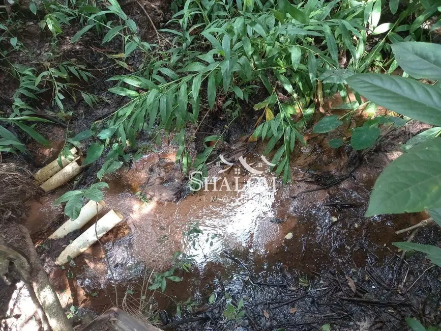 Foto 21 de Chácara à venda em Centro, Santa Fe - PR