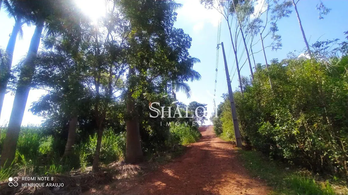 Foto 10 de Chácara à venda e para alugar, 5000m2 em Loteamento Sumaré, Maringa - PR