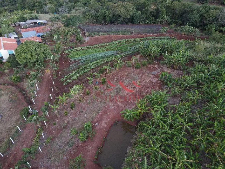 Chácara com 4 quartos à venda, 36300m2 em Mandaguari - PR - imagem 4 Foto 4 de Chácara com 4 quartos à venda, 36300m2 em Mandaguari - PR