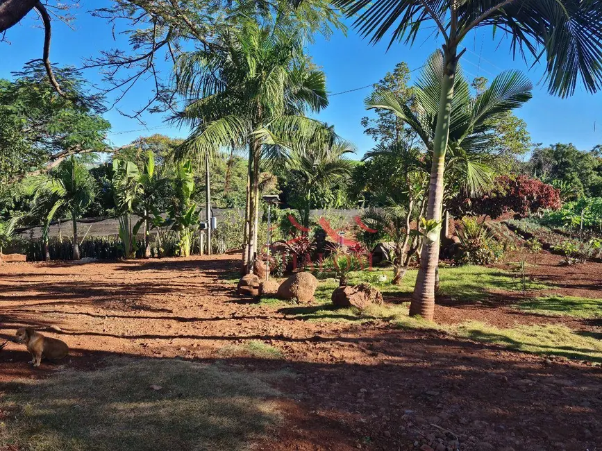 Chácara com 4 quartos à venda, 36300m2 em Mandaguari - PR - imagem 9 Foto 9 de Chácara com 4 quartos à venda, 36300m2 em Mandaguari - PR