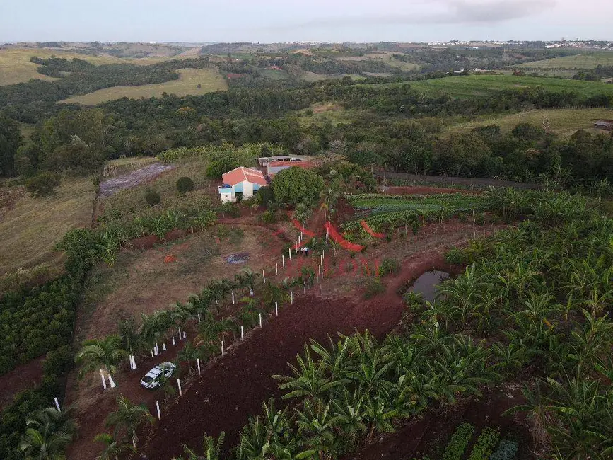 Chácara com 4 quartos à venda, 36300m2 em Mandaguari - PR - imagem 3 Foto 3 de Chácara com 4 quartos à venda, 36300m2 em Mandaguari - PR