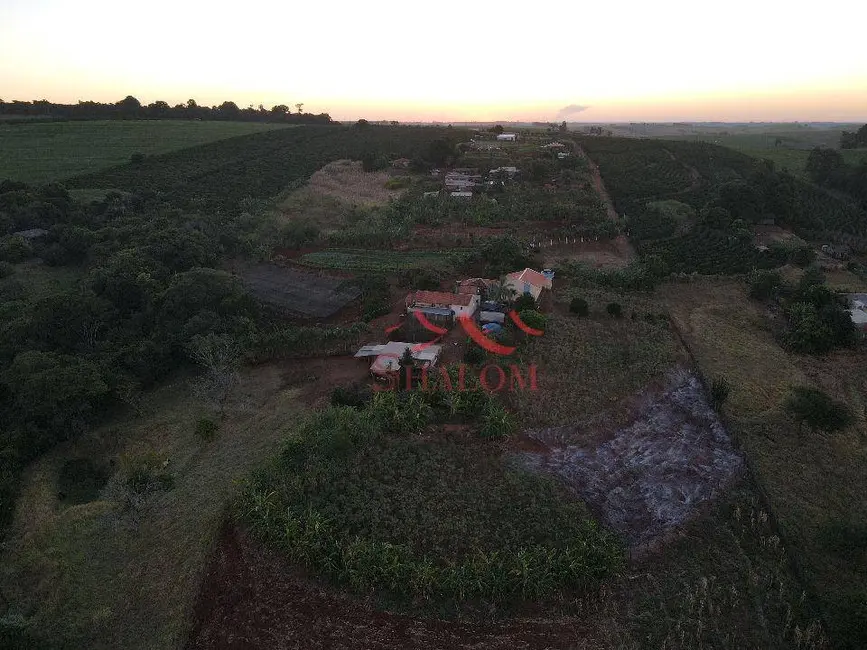 Chácara com 4 quartos à venda, 36300m2 em Mandaguari - PR - imagem 5 Foto 5 de Chácara com 4 quartos à venda, 36300m2 em Mandaguari - PR
