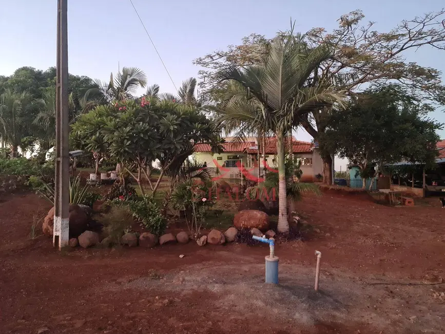 Chácara com 4 quartos à venda, 36300m2 em Mandaguari - PR - imagem 7 Foto 7 de Chácara com 4 quartos à venda, 36300m2 em Mandaguari - PR