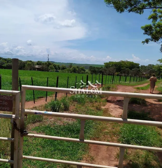Foto 8 de Chácara com 3 quartos à venda, 258939m2 em Centro, Iguaracu - PR