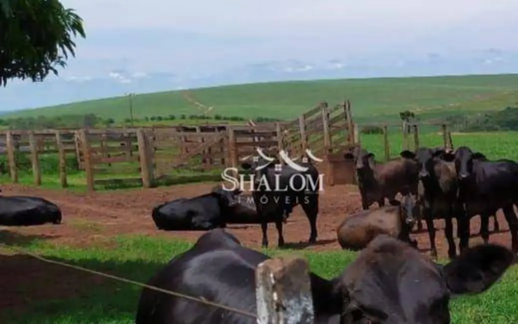 Foto 7 de Chácara com 3 quartos à venda, 258939m2 em Centro, Iguaracu - PR