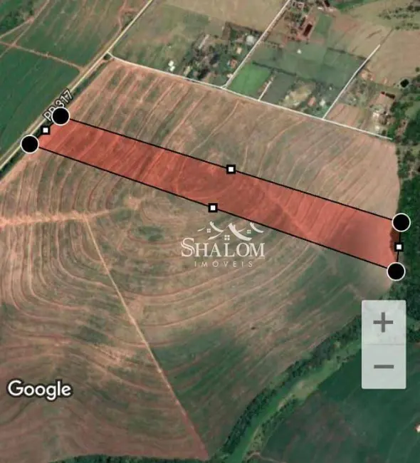 Foto 1 de Sítio / Rancho à venda, 121000m2 em Centro, Iguaracu - PR