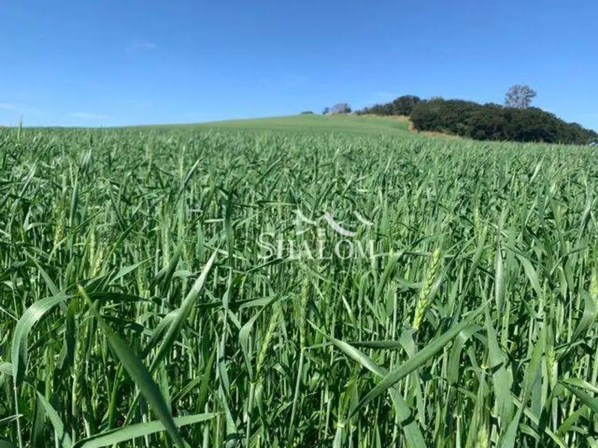Foto 2 de Sítio / Rancho à venda, 290400m2 em Sabaudia - PR