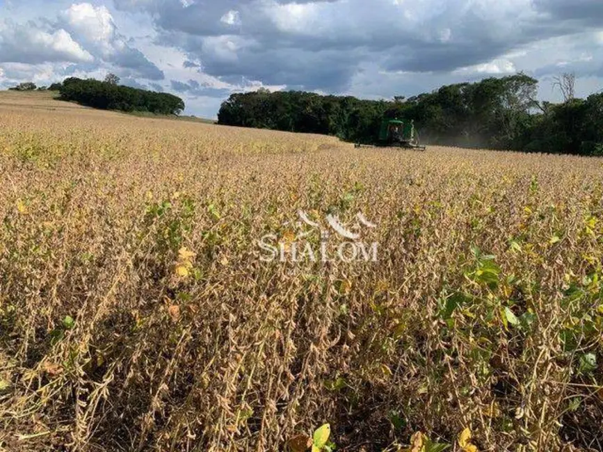 Foto 4 de Sítio / Rancho à venda, 290400m2 em Sabaudia - PR
