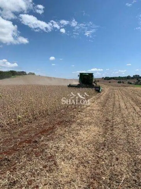 Foto 5 de Sítio / Rancho à venda, 290400m2 em Sabaudia - PR