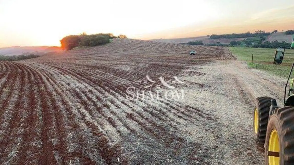 Foto 6 de Sítio / Rancho à venda, 290400m2 em Sabaudia - PR