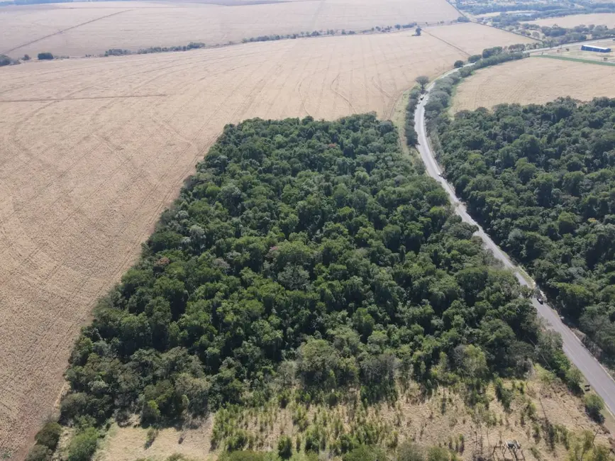 Foto 3 de Sítio / Rancho à venda, 943800m2 em Centro, Iguaracu - PR