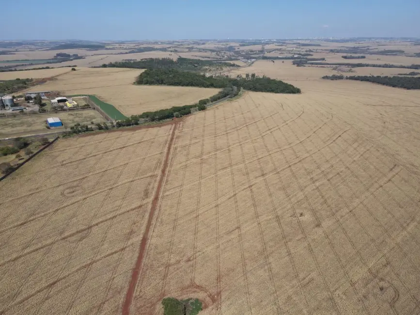 Foto 2 de Sítio / Rancho à venda, 943800m2 em Centro, Iguaracu - PR