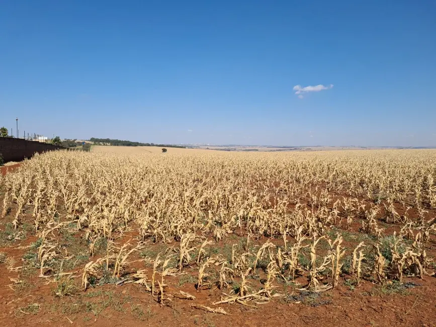 Foto 5 de Sítio / Rancho à venda, 943800m2 em Centro, Iguaracu - PR