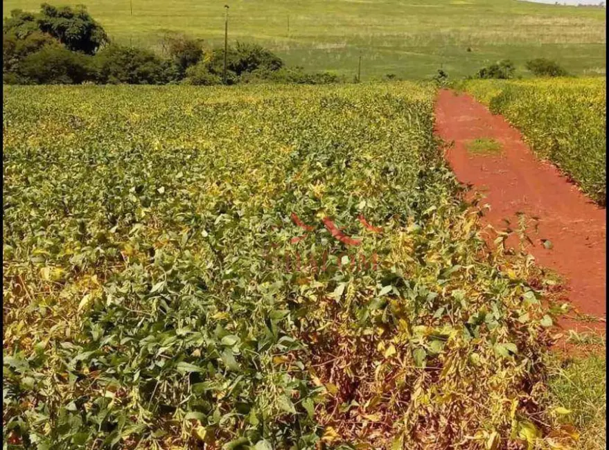 Sítio / Rancho à venda, 151734m2 em Zona 03, Maringa - PR - imagem 4 Foto 4 de Sítio / Rancho à venda, 151734m2 em Zona 03, Maringa - PR