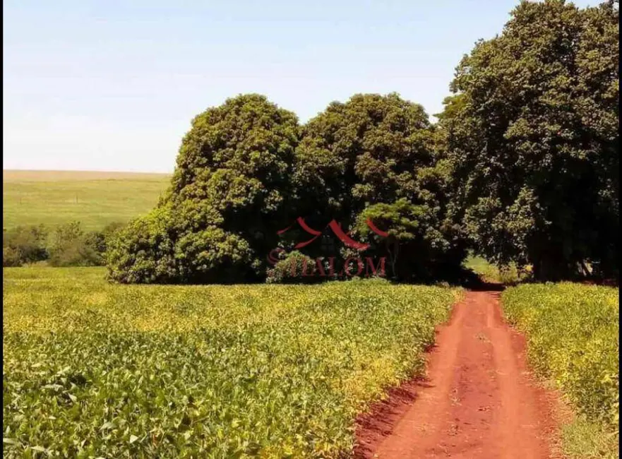 Sítio / Rancho à venda, 151734m2 em Zona 03, Maringa - PR - imagem 6 Foto 6 de Sítio / Rancho à venda, 151734m2 em Zona 03, Maringa - PR