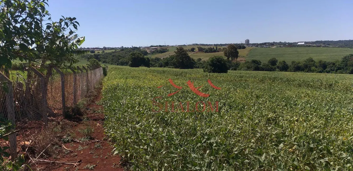 Chácara à venda, 58080m2 em Zona 08, Maringa - PR - imagem 4 Foto 4 de Chácara à venda, 58080m2 em Zona 08, Maringa - PR