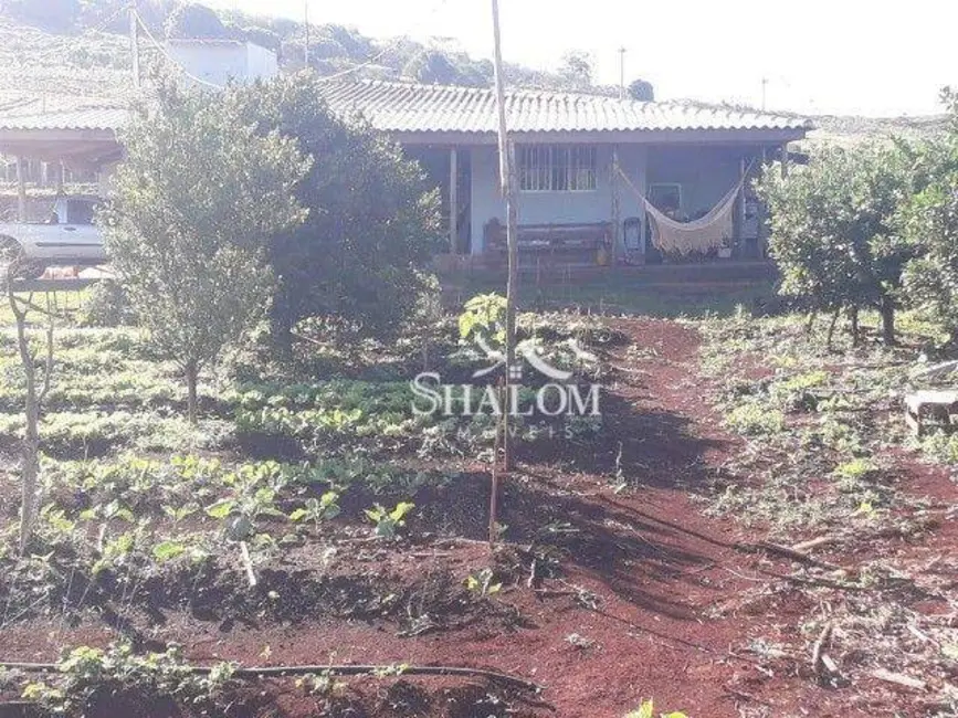 Foto 7 de Chácara com 1 quarto à venda, 4200m2 em Marialva - PR