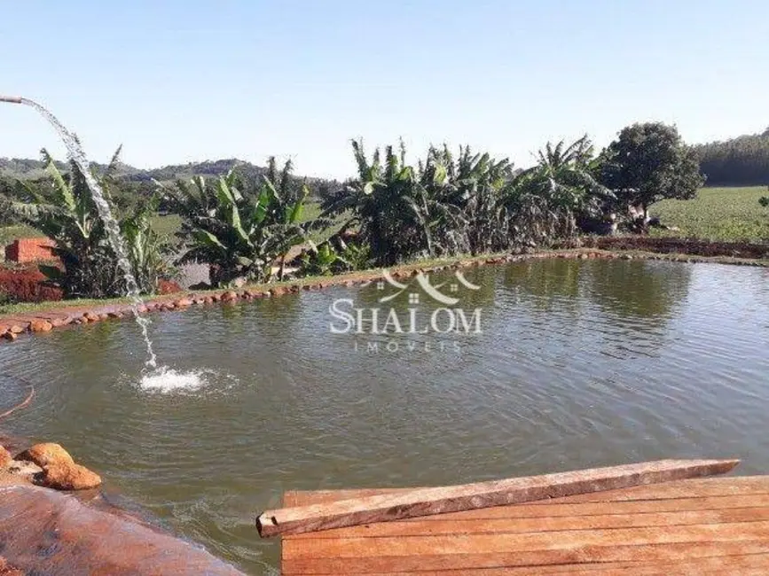 Foto 9 de Chácara com 1 quarto à venda, 4200m2 em Marialva - PR