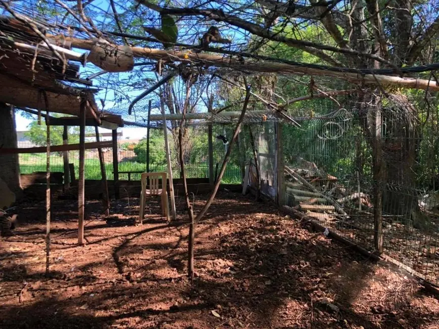 Chácara com 1 quarto à venda, 4000m2 em Conjunto Floresta, Sarandi - PR - imagem 7 Foto 7 de Chácara com 1 quarto à venda, 4000m2 em Conjunto Floresta, Sarandi - PR