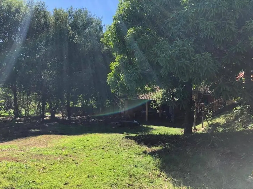 Chácara com 1 quarto à venda, 4000m2 em Conjunto Floresta, Sarandi - PR - imagem 3 Foto 3 de Chácara com 1 quarto à venda, 4000m2 em Conjunto Floresta, Sarandi - PR