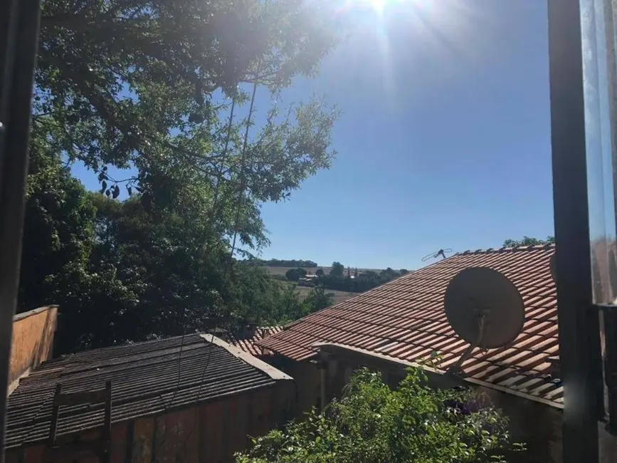 Chácara com 1 quarto à venda, 4000m2 em Conjunto Floresta, Sarandi - PR - imagem 8 Foto 8 de Chácara com 1 quarto à venda, 4000m2 em Conjunto Floresta, Sarandi - PR