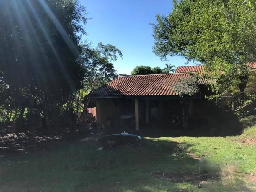 Chácara com 1 quarto à venda, 4000m2 em Conjunto Floresta, Sarandi - PR - imagem 6 Foto 6 de Chácara com 1 quarto à venda, 4000m2 em Conjunto Floresta, Sarandi - PR