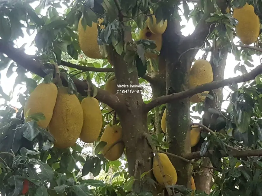 Foto 5 de Chácara com 1 quarto à venda, 125m2 em Chácaras São Guido, Varzea Paulista - SP