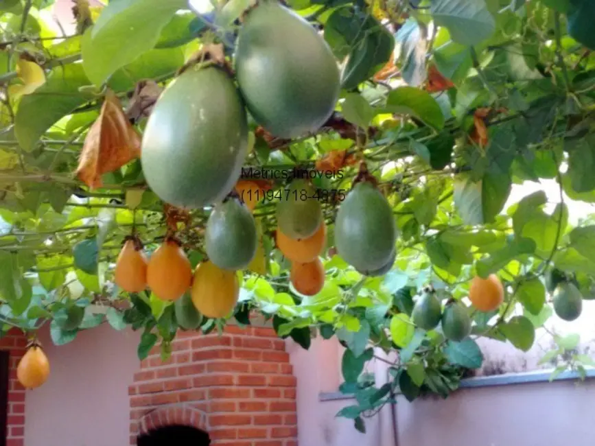 Casa com 3 quartos à venda, 206m2 em Vila Olímpia, Campo Limpo Paulista - SP - imagem 8 Foto 8 de Casa com 3 quartos à venda, 206m2 em Vila Olímpia, Campo Limpo Paulista - SP