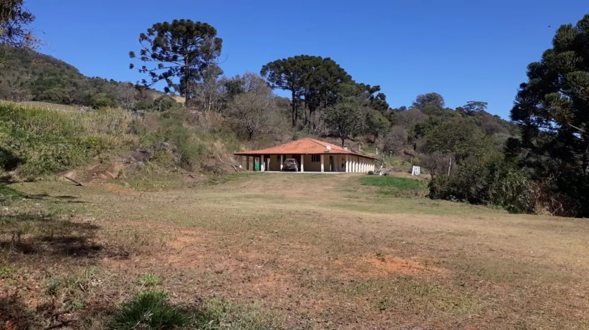 Foto 2 de Chácara com 3 quartos à venda, 365m2 em Munhoz - MG