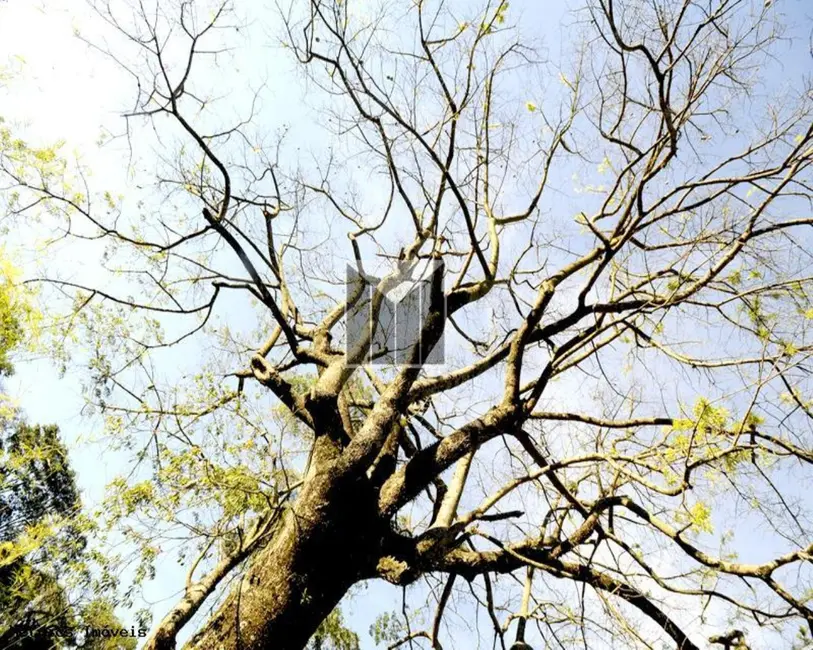 Foto 6 de Terreno / Lote à venda, 200m2 em Cabreuva - SP