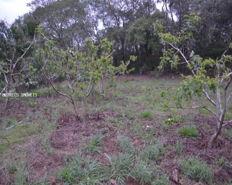 Foto 9 de Terreno / Lote à venda, 5000m2 em Jundiai - SP