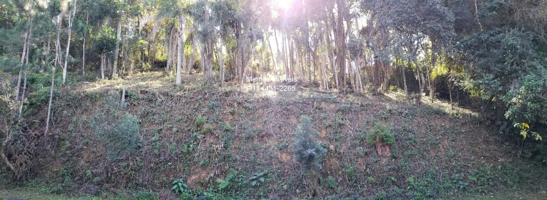 Foto 3 de Terreno / Lote à venda, 612m2 em Moinho, Campo Limpo Paulista - SP