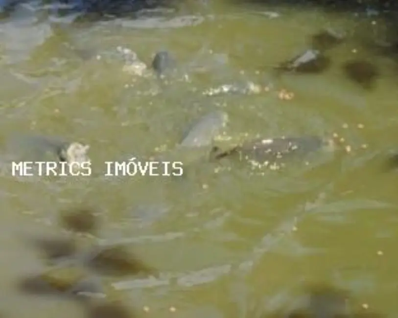 Chácara com 4 quartos à venda, 3500m2 em Louveira - SP - imagem 4 Foto 4 de Chácara com 4 quartos à venda, 3500m2 em Louveira - SP